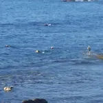 Floratere Βίλα *